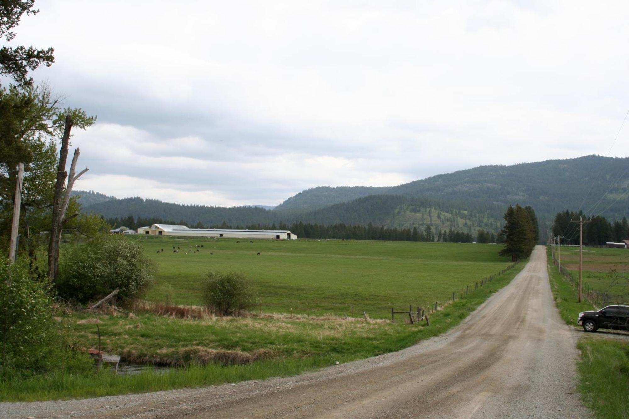 The Bunkhouse Villa Priest River Exteriör bild